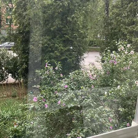 Chill Day Nagymihály